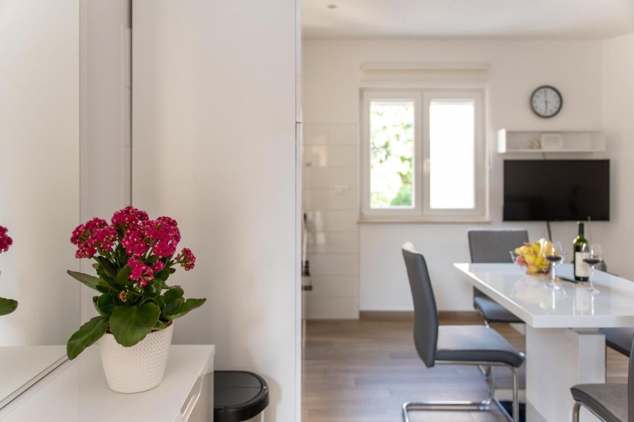 Apartman Palada Žminj Exteriér fotografie